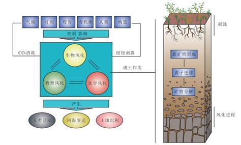 土壤生成五大因子